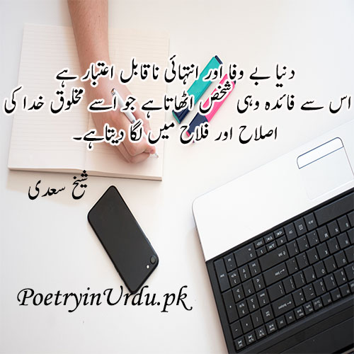 urdu quote life love