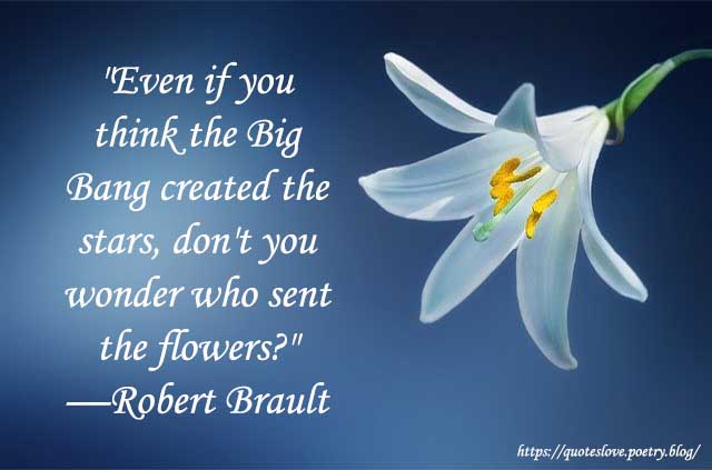 Flower funny quotes