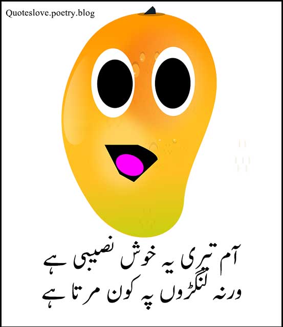 Funny Jokes Urdu